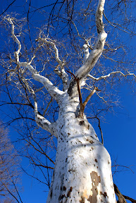 DSC_5828.jpg