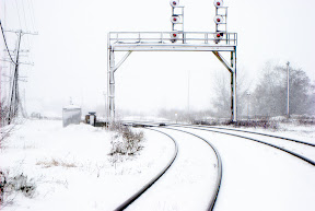 DSC_5036.jpg