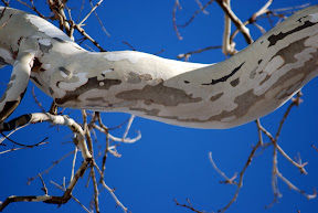 DSC_5837.JPG